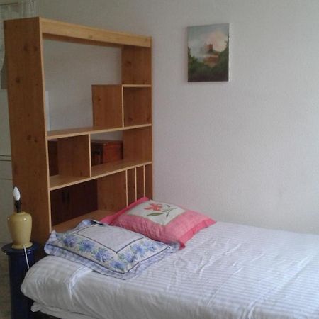 Le Sultan Du Theron 3Em Etage Apartment Le Puy-en-Velay Luaran gambar