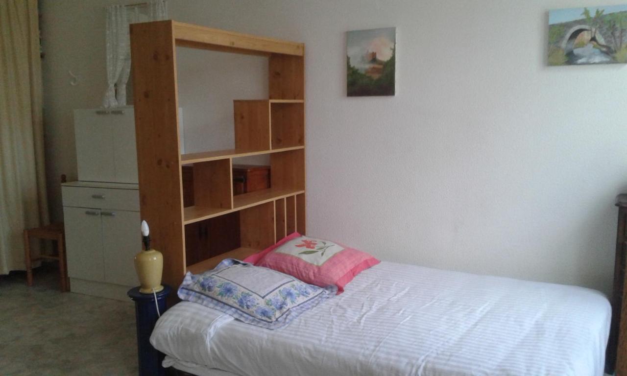 Le Sultan Du Theron 3Em Etage Apartment Le Puy-en-Velay Luaran gambar